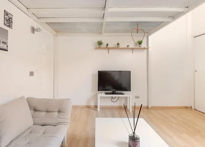 Apartment Stylish Loft